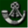 silverbugle.wordpress.com