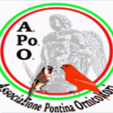 apoo.it