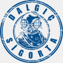 dalgicsigorta.com