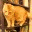 primordialsouptasteseverythingy.wordpress.com
