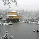 goldenpavilion.tumblr.com