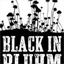 blackinbluhm.com