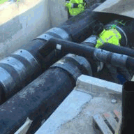 plentyofgaydating.com