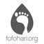 fofohari.org