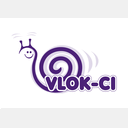 vlok-ci.eu