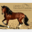 caballospre.de