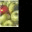 greenapplesblog.wordpress.com