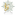 cafebazza.com