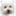 smalldogsusa.org