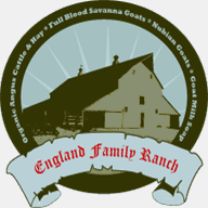 englandschristmascapital.com