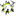 soliby.de