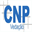 cnpvedacao.com