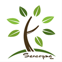 sercopag.com