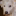 hunde-futter-paradies.ch