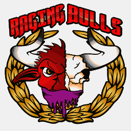 ragingbulls.at