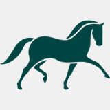 classicalbacking.com