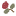 dolceluma.com
