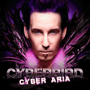 cyberbird.us