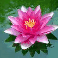 coastalcounselingserviceskeylargo.com