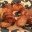 fishmeatispracticallyavegetable.wordpress.com