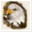 the-eagles-feast.net