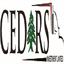 cedarstz.com