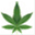 annarbormedicalmarijuanadispensary.net