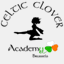 celtic-clover-academy.over-blog.com