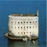 location-saint-georges-d-oleron.com