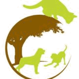 diamondhillanimalclinic.com