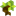 onebonsai.com