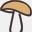 montanamushrooms.com