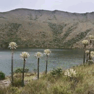 mesondelpescador.net