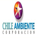 chileambiente.cl