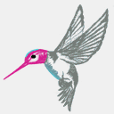 bellalineboutique.com