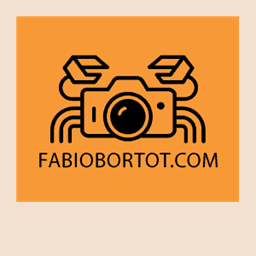 fabiobortot.com