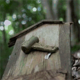 oficinaenflorida.com