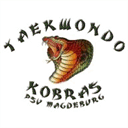 taekwondo-kobras-magdeburg.de