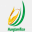 hunglamrice.com.vn