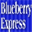 blueberryexpress.com.au