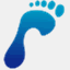 custom-insoles.com