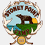 stoneypointcamp.com