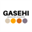 gasehi.com