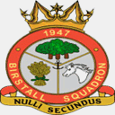 1947squadron.co.uk