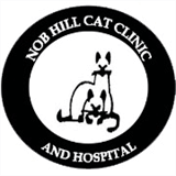 nobhillcatclinic.com