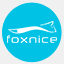 foxnice.com