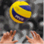 sixvsixvolley.wordpress.com