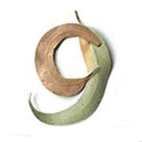 greenwayartprize.com.au