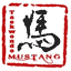 taekwondo-mustang.com