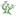 life-tree.de